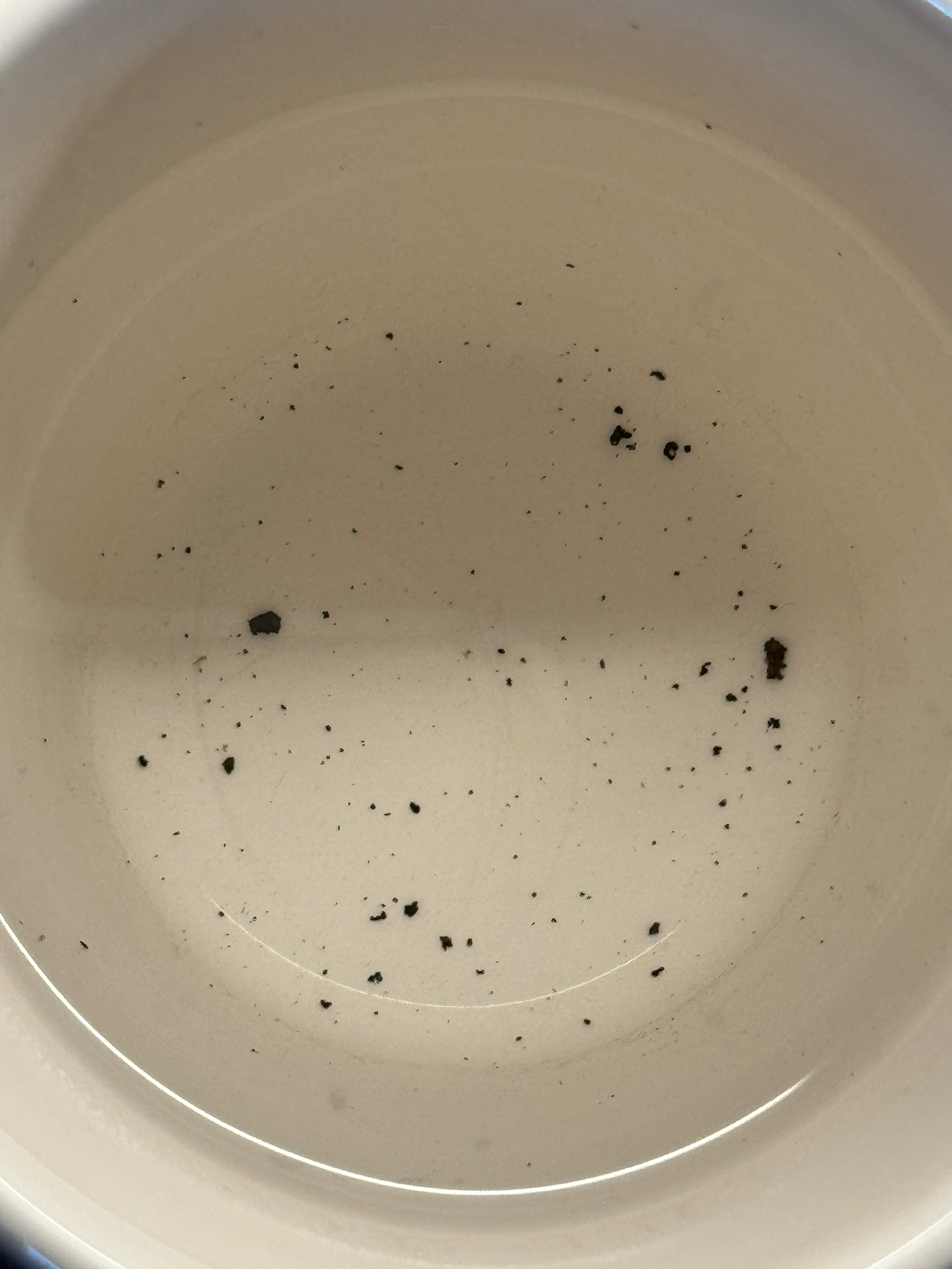 A closeup of the Nespresso black specks in a white cup.