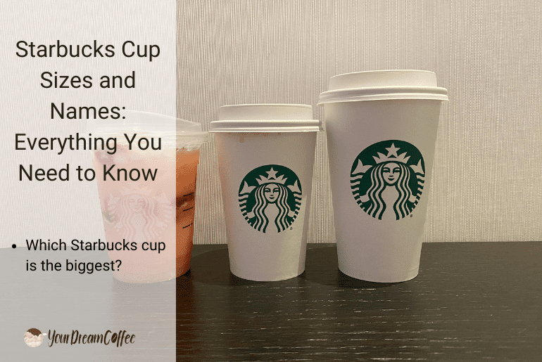 Starbucks Cup Sizes and Names: Everything You Need to Know