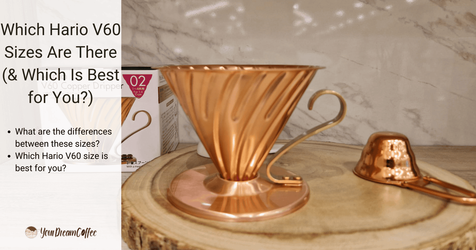 Which Hario V60 Sizes Are There (& Which Is Best for You?)