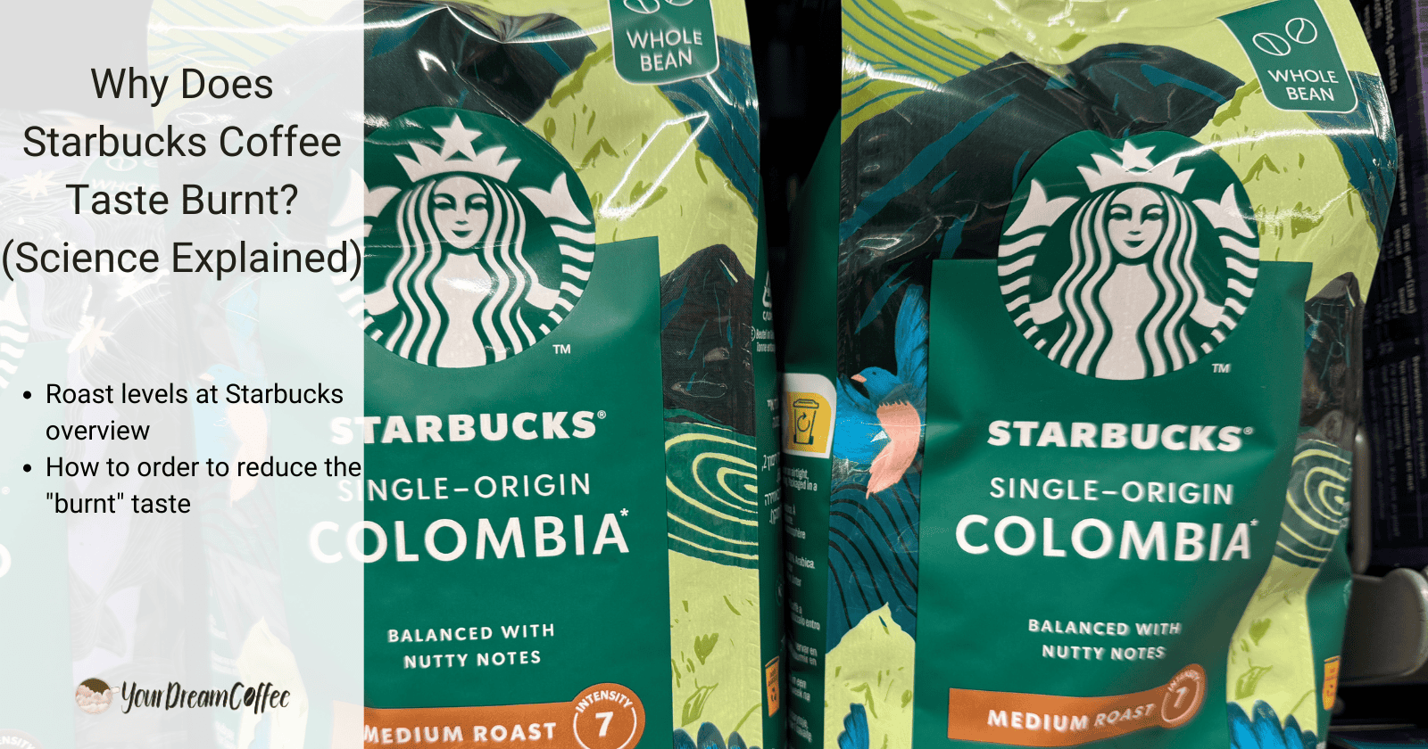 Why Does Starbucks Coffee Taste Burnt? (Science Explained)